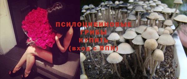 PSILOCYBIN Белая Холуница