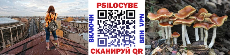где можно купить наркотик  Краснозаводск  Галлюциногенные грибы Psilocybine cubensis 